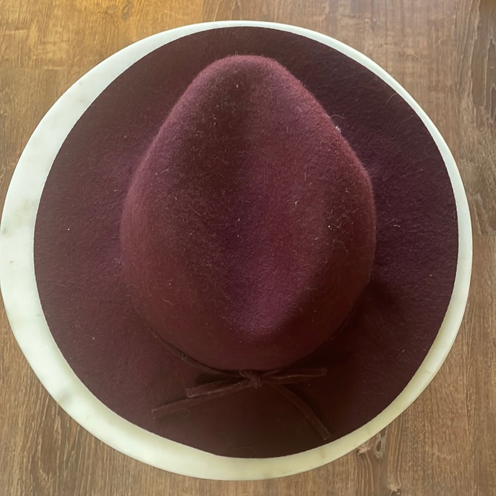Wide brim hat: fedora